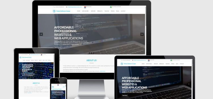 WHY WOULD YOUR BUSINESS NEED A PROFESSIONAL WEBSITE?